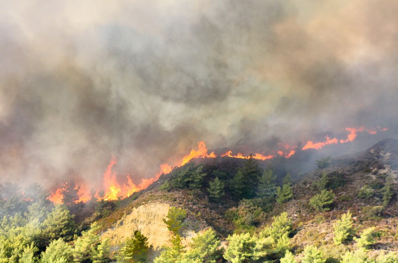 Ανάγκη για ολοκληρωμένο σχέδιο αντιμετώπισης των δασικών πυρκαγιών