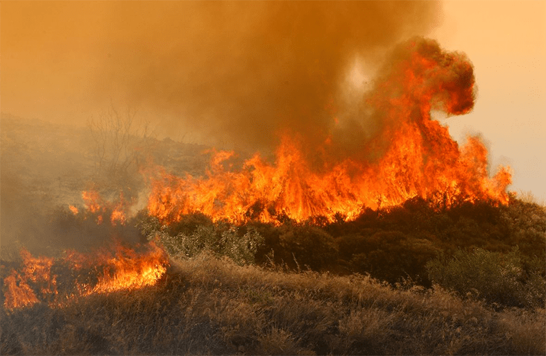 Δασικές πυρκαγιές ή η παράνοια συνεχίζεται…